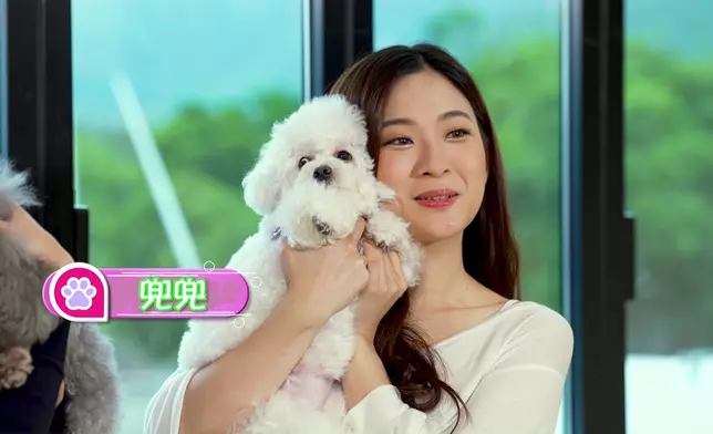 Tiffany同德德齊齊學做狗瑜伽。