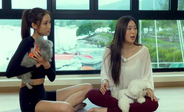 Tiffany同德德齊齊學做狗瑜伽。