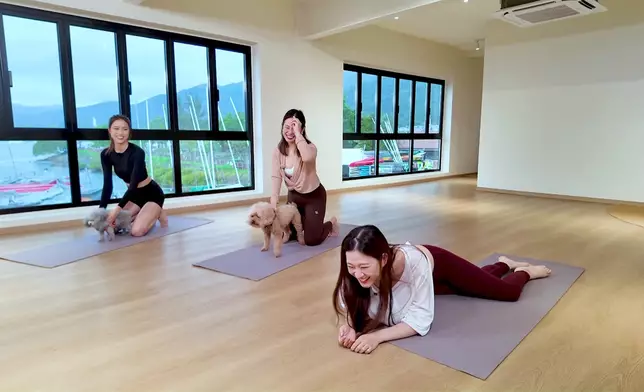 德德係咁「走狗」。