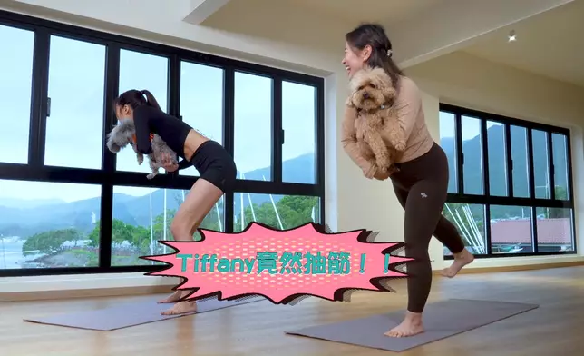 Tiffany同德德齊齊學做狗瑜伽。