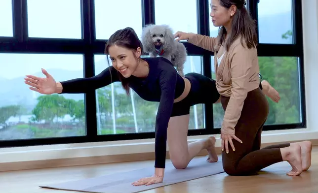 Tiffany同德德齊齊學做狗瑜伽。