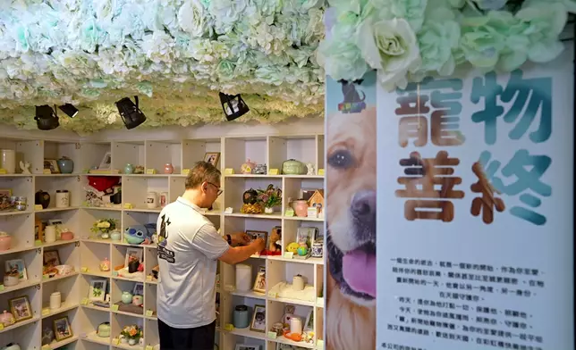 寵物善終義工。