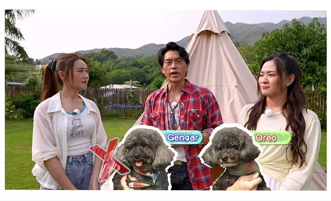 森美帶狗仔Camping，笑料百出。