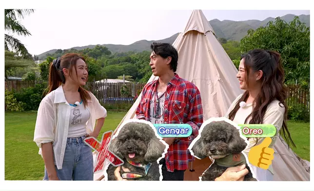 森美帶狗仔Camping，笑料百出。