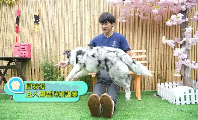 所有環節都好精彩架。