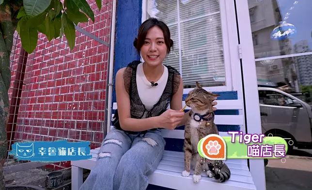 所有環節都好精彩架。