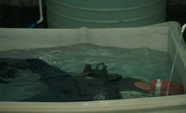 呢幕齋睇相都知拍得好辛苦，畀啲掌聲。