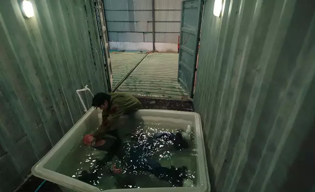 呢幕齋睇相都知拍得好辛苦，畀啲掌聲。