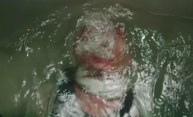 呢幕齋睇相都知拍得好辛苦，畀啲掌聲。