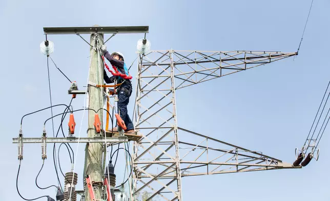 Amy稱在輸電塔工作，對體力是一大考驗。（中電提供圖片）