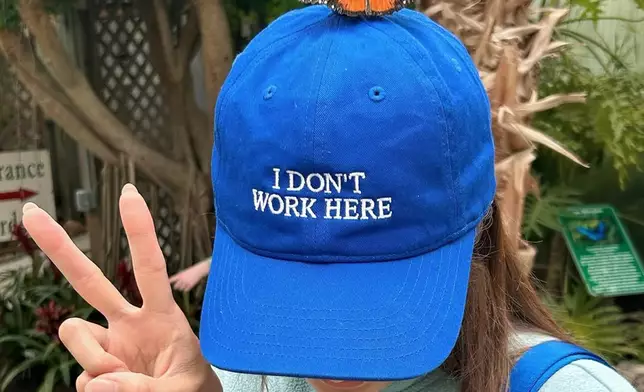 有隻蝴蝶悄然棲息其帽緣