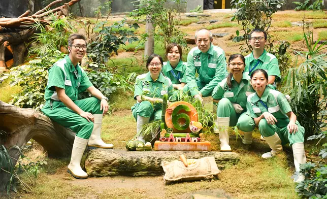 照顧安安和可可的團隊為牠們準備派對裝飾和冰蛋糕。海洋公園圖片
