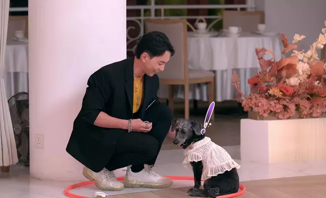 Matthew簡直變咗Two Two攝石。