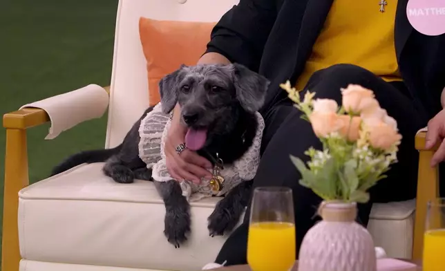 Two Two已經過咗檔去Matthew度。