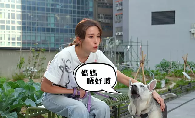 姚子羚與愛犬通仔又有愛又感人。