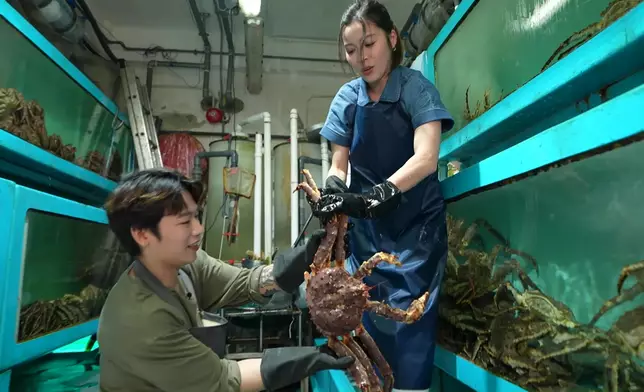 捉長腳蟹