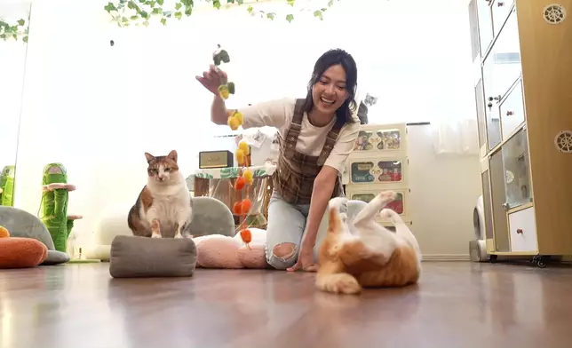 今集嘅「傳心術」會教大家了解貓咪嘅內心世界。