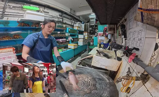 Winki實戰劏魚