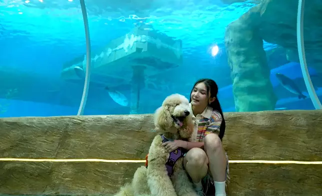 關楓馨又係錫到佢隻狗仔燶咁滯。