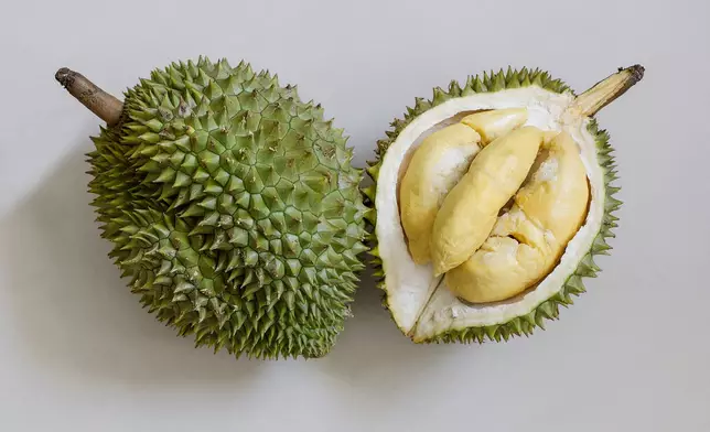 示意圖