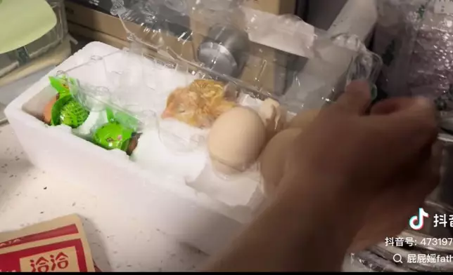 雞蛋放角落因高溫孵化出小雞。影片截圖