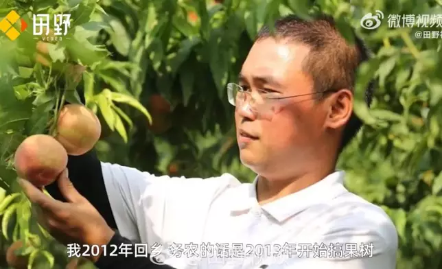 農民學種桃技術12年，單棵桃樹產量突破200個，還帶動千名果農由虧轉盈。影片截圖