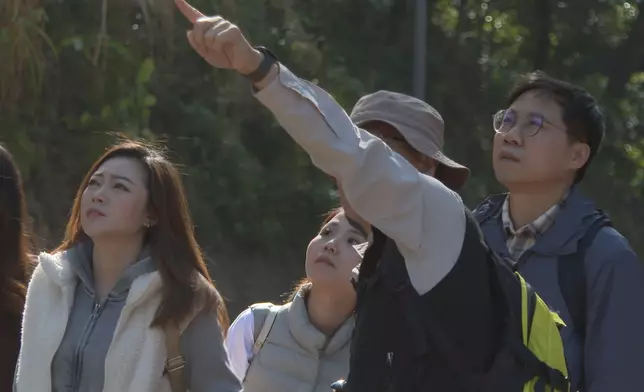 「八仙嶺山火之謎」