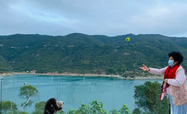 William曾豪擲2700萬購入香港北角半山豪宅贈予母親。