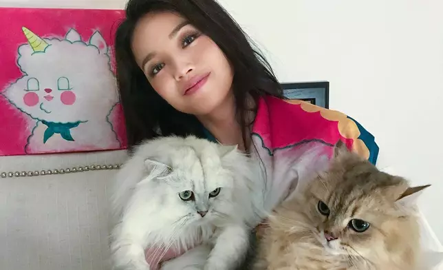 舒淇一向是愛貓之人。