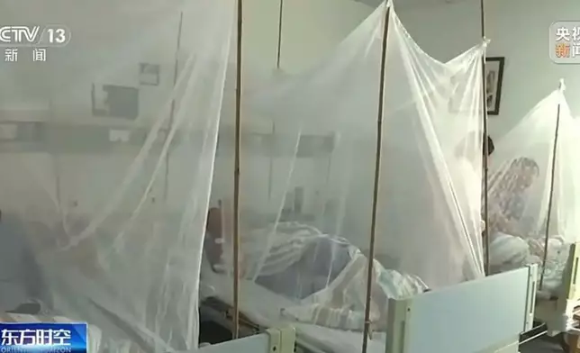 基孔肯雅熱。網上圖片