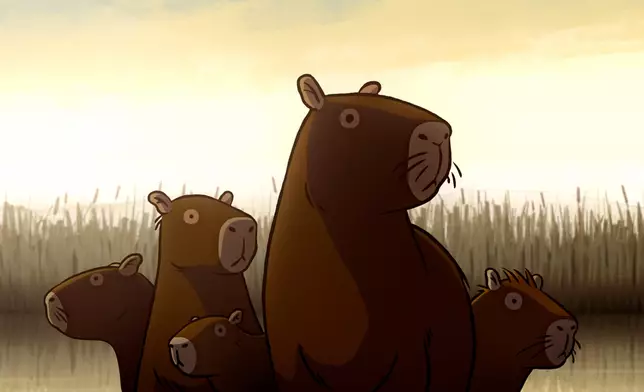 《社恐水豚君》