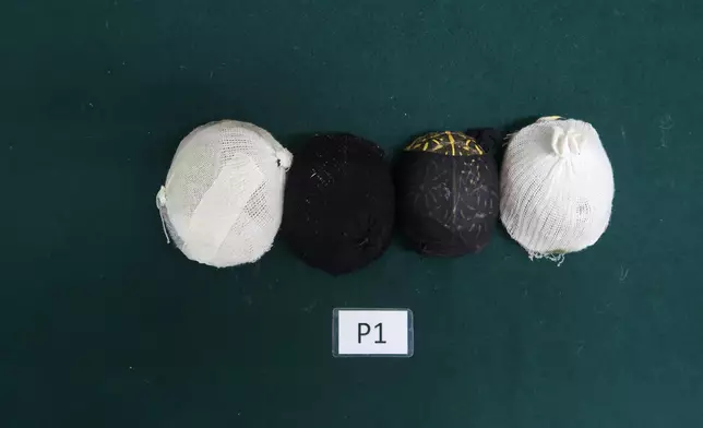 ​檢獲受管制屬瀕危物種的活龜。政府新聞處圖片