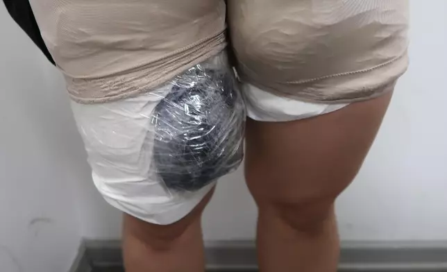 42歲女子將4隻受管制活龜綁大腿走私到內地入獄兩個月。政府新聞處圖片