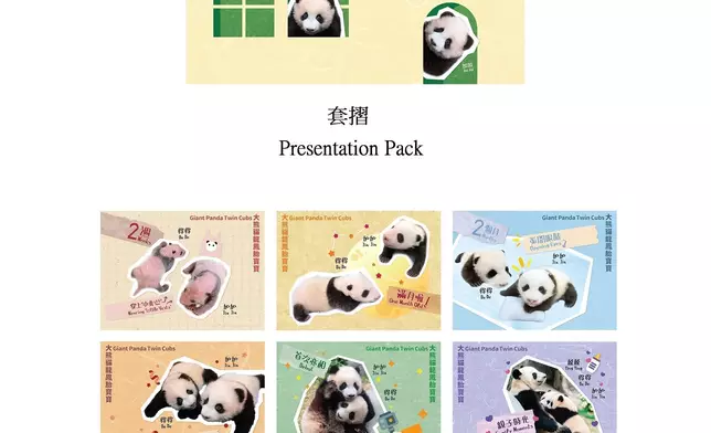 香港郵政發行「大熊貓龍鳳胎寶寶」特別郵票 政府新聞處圖片
