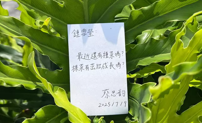 二人寫給對方的信。