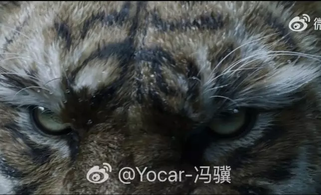 黑悟空續作《黑神話：鍾馗》上線，官網釋2分鐘預告片給玩家過乾癮。影片截圖