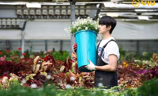 《PRODUCE X 101》中出道的24歲金旻奎。 黃Viu提供圖片