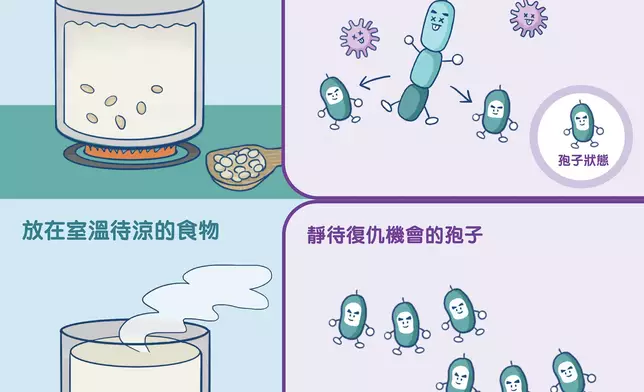 蠟樣芽孢桿菌。