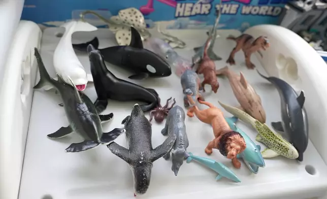 Xenia囝囝「波子」對海陸兩地動物情有獨鍾。