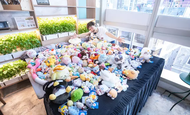 安仔帶了逾200公仔即場籌款。