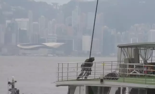 巴士的報記者攝