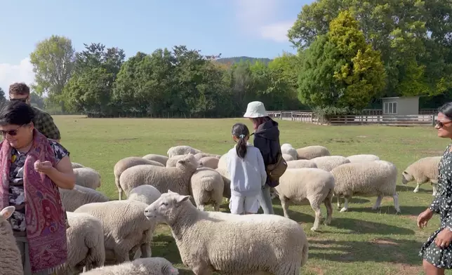 呢個就係曾經多次獲得「新西蘭最佳旅遊景點」殊榮的農場。