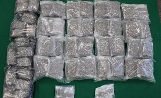 ​香港海關於港珠澳大橋香港口岸檢獲約550萬元懷疑大麻花。 政府新聞處圖片