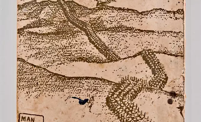 香港抗戰及海防博物館推出粵港兩地抗戰歷史展覽 政府新聞處圖片