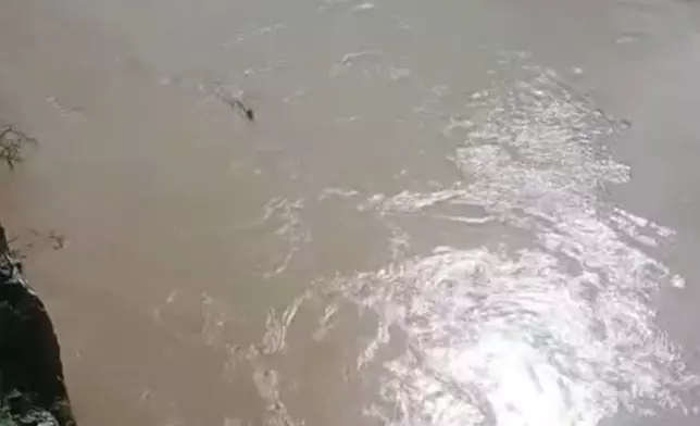 雲南虎跳峽現長犄角生物，當局揭真身係麝子。影片截圖