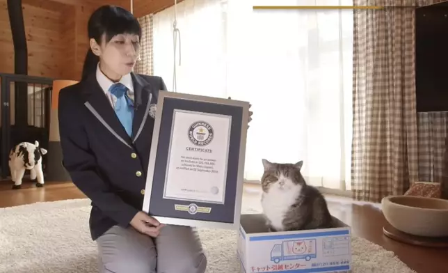 日本明星貓Maru因病逝世，享年18歲。影片截圖