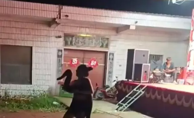 女子表演與蟒蛇「親嘴」遭狠咬鼻部血流不止。影片截圖