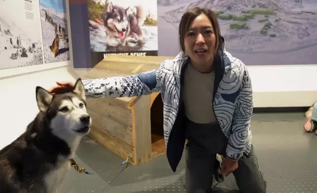 還可以與哈士奇近距接觸