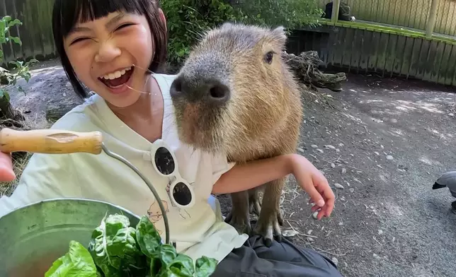 第6集還會去大人小朋友都適合遊玩的保育園，更能親自餵飼超可愛的水豚！