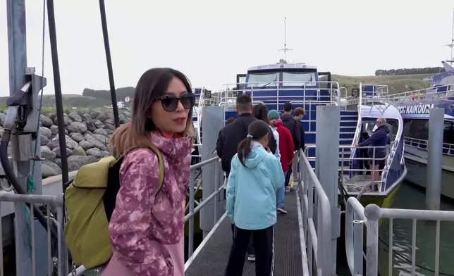 觀光船「賞鯨」tour